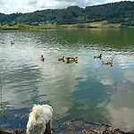 Eifel Duitsland Fraai Met Tuin * Eisenschmitt