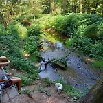 Eifel Duitsland Fraai Met Tuin