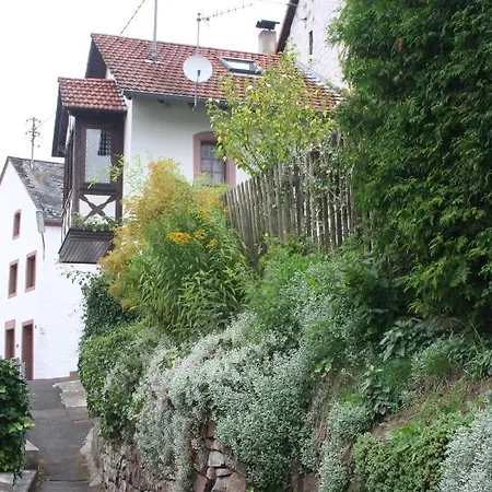 Eifel Duitsland Fraai Met Tuin