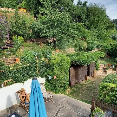 Eifel Duitsland Fraai Met Tuin Σπίτι διακοπών