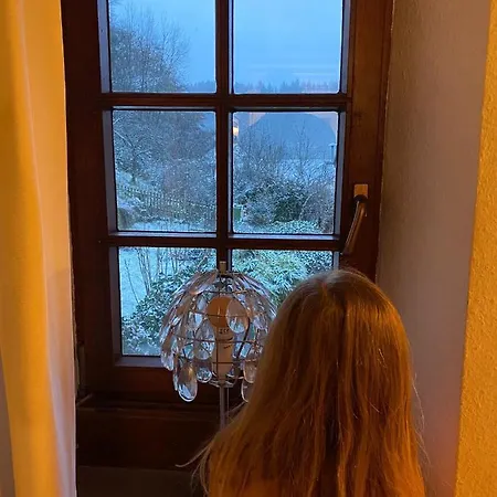 Eifel Duitsland Fraai Met Tuin Ferienhaus