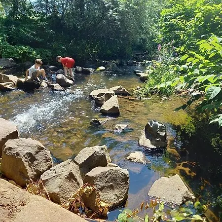 Eifel Duitsland Fraai Met Tuin *