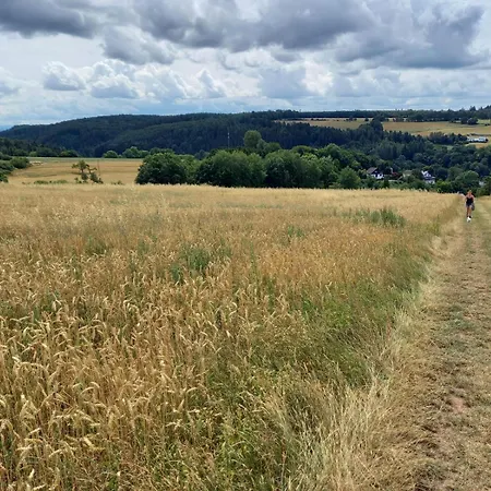 Eifel Duitsland Fraai Met Tuin *