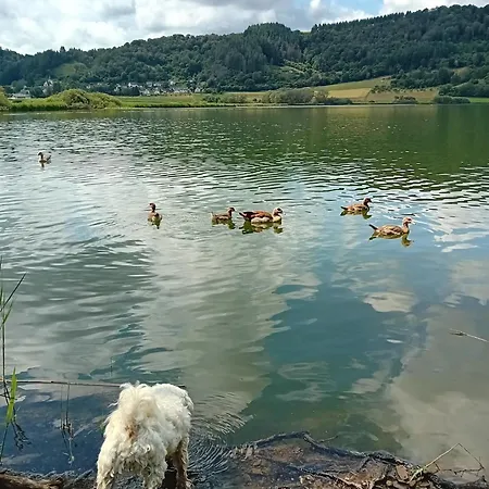 Eifel Duitsland Fraai Met Tuin * 伊森斯科米特