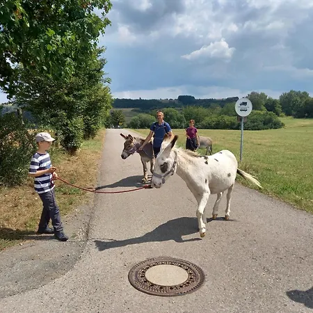 Eifel Duitsland Fraai Met Tuin Σπίτι διακοπών