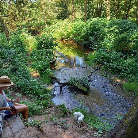 Eifel Duitsland Fraai Met Tuin