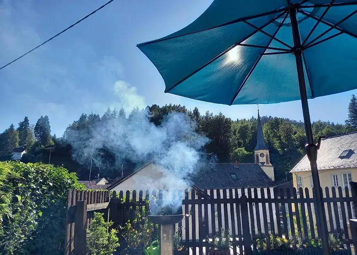 Eifel Duitsland Fraai Met Tuin Feriehus Eisenschmitt