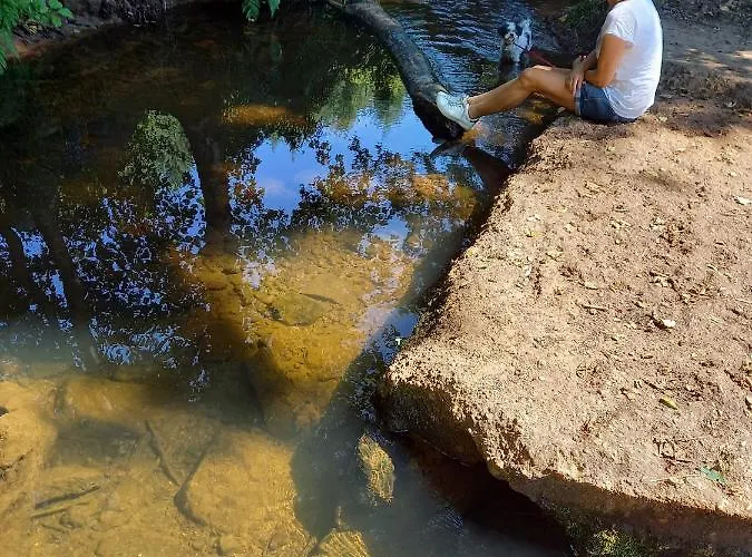 Feriehus Eifel Duitsland Fraai Met Tuin
