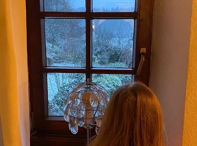 Eifel Duitsland Fraai Met Tuin Feriehus