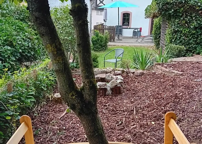 Feriehus Eifel Duitsland Fraai Met Tuin *