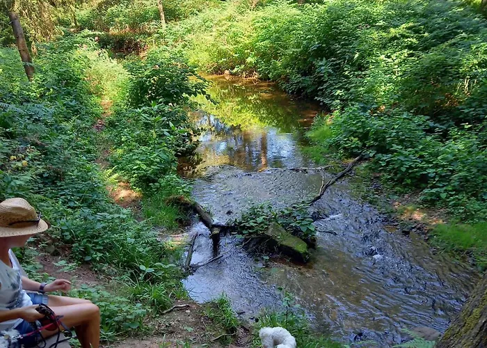 Eifel Duitsland Fraai Met Tuin